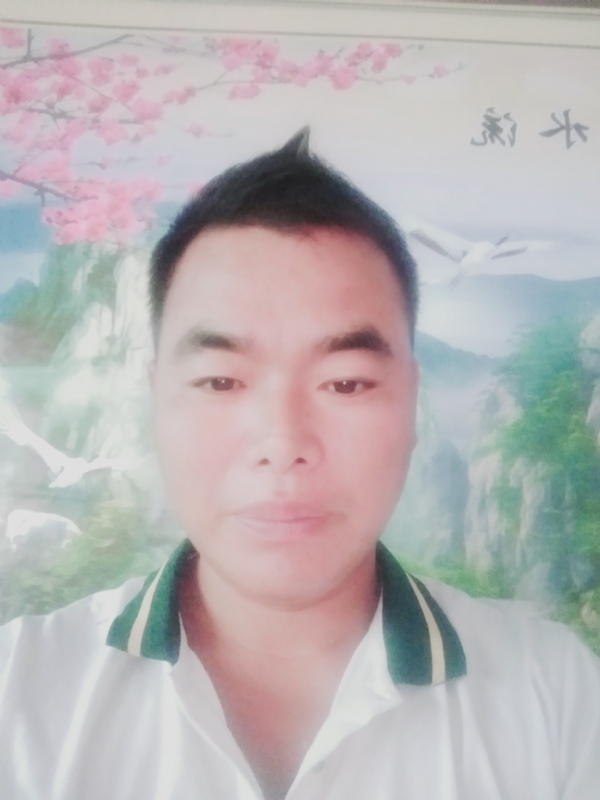 阳光男孩的第二张照片--河南蓝颜知己交友网